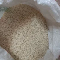 برنج دم سیاه عطری مینودشت