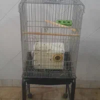 قفس پرنده کاسکو و طوطی سانان کامل