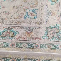 دو تخته فرش ۱۲متری|فرش|تربت‌حیدریه, بالا ولایت|دیوار