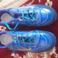 کفش در حد نو|کیف، کفش، کمربند|شیراز, محراب|دیوار