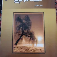 رمانی فوق‌العاده زیبا وجذاب|کتاب و مجله ادبی|کرج, گوهردشت|دیوار