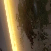 موسسه بازیگری