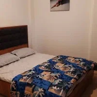 سوپرایز-3-طالقانی-دکتر-شریعتی