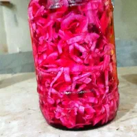 ترشی خانگی|خوردنی و آشامیدنی|میبد, |دیوار