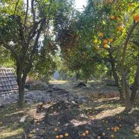 باغچه به متراژ ۶۰۰ متر در حومه زنگیشامحله