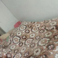 تخت دوطبقه و کمد ام دی اف|تخت و سرویس خواب|قم, قم نو|دیوار