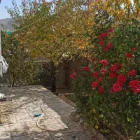 خانه|اجارهٔ خانه و ویلا|خلخال, |دیوار