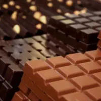 جذب نیرو/کارگر ساده و ماهر/خانم و آقا / سرویس/غذا