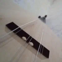 ساز دیوان حرفه ای|سازهای سنتی|سنندج, |دیوار