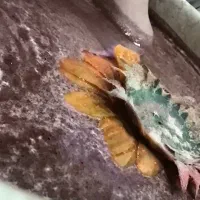 «خدمات ژلیش پا و پدیکور»