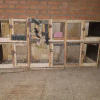 قفس 6خانه|لوازم جانبی حیوانات|سوسنگرد, |دیوار