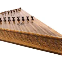 سنتور درجه یک هنرجویی