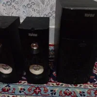 ظبط و دوتا باند