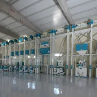 خط شالیکوبی برنج (اروپایی)