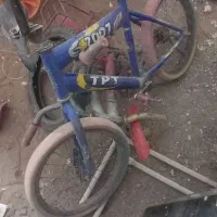 فروش فرش دست دوم|فرش|تربت جام, میان جام|دیوار