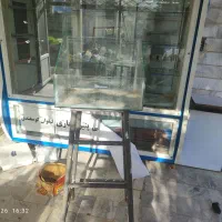 جا تخمه شیشه ای