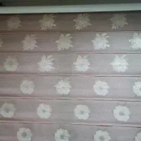 دو عدد پرده زبرا