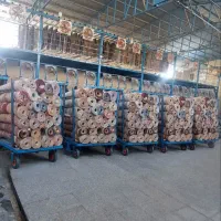 قالیشویی معروف گلرنگ