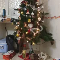 فروش کاج باکلی آویزهای زیبا لامپ