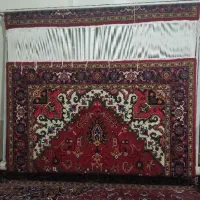 فروش دار قالی ۶ متری