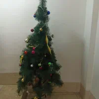 یک عدد درخت کریسمس در حدنو