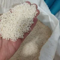 برنج علی کاظمی