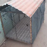 قفس|لوازم جانبی حیوانات|مسجد سلیمان, |دیوار