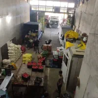 اجاره غرفه در میدان تره‌بار مرکزی 6 دانگ تخلیه|اجارهٔ مغازه و غرفه|تهران, میدان میوه و تره‌بار مرکزی|دیوار