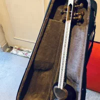 تار نیستان درجه یک خوش نقش و خوش صدا