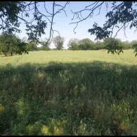 باغ حاصلخیر واقع در عجبشیرمتراژ۷۶۰۰ روستای ششوان|فروش دفتر صنعتی، کشاورزی، تجاری|عجب شیر, |دیوار