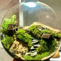 پالوداریوم موساریوم تراریوم