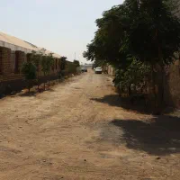 گلخانه نوساز دیوار نرده