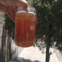 سرکه سیب