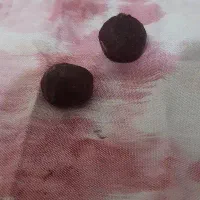 مهره احجر الحبهاب