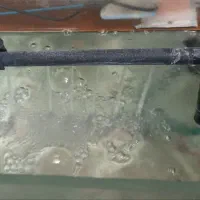 ماهی و اکواریوم|ماهی|نیشابور, شهرک بهداری|دیوار