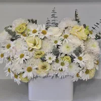 باکس سفید گل و بابونه ای کد ۱۰۴۷ گلاریس