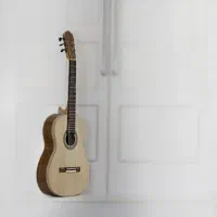 ساخت و تعمیرات تخصصی گیتار