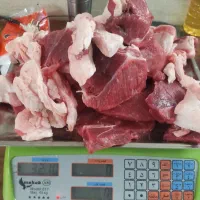 کباب سرای|خدمات پذیرایی، مراسم|یزد, |دیوار