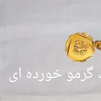 طلا ۱۰۰بالای تابلو|جواهرات|پاکدشت, پاکدشت (مامازند)|دیوار