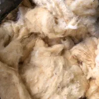 پنبه گل کیلویی