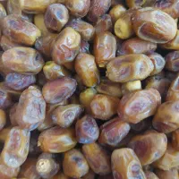 قصب زاهدی تمیز