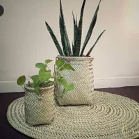 سبد حصیری با قیمت مناسب|صنایع دستی و سایر لوازم تزئینی|مشهد, رضاشهر|دیوار