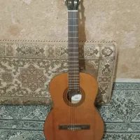 گیتار هافنر