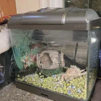 آکواریوم با وسایل تزئینی