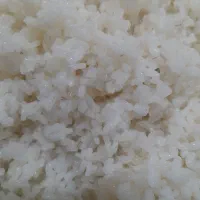 برنج وحبوبات|خوردنی و آشامیدنی|دهلران, |دیوار