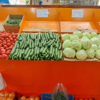 پالت میوه فروشی نو