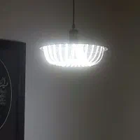 لامپ دست ساز|لامپ و چراغ|رفسنجان, |دیوار