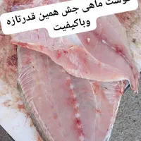 ماهی فروشی صیاد