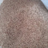 برنج فجر|خوردنی و آشامیدنی|گنبد کاووس, |دیوار