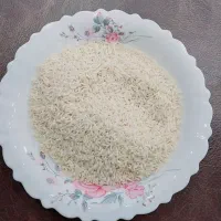 برنج محلی هاشمی